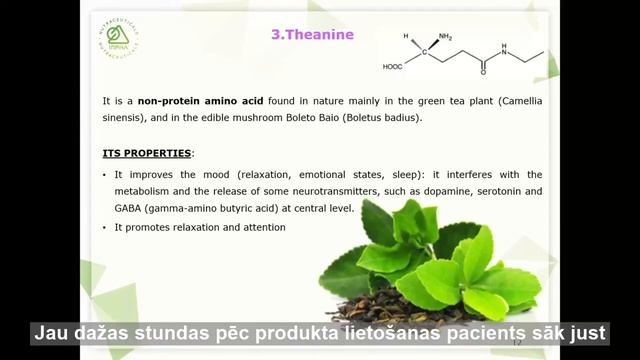 SYNAID® uztura bagātinātāja garīgajai veselībai galvenais mērķis un darbības mehānisms. смотреть онлайн