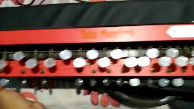 How to tune Benjo Jhala or Swarmandal easily | ऐसे करे बैंजो को ट्यून असानी से । Casio King смотреть онлайн