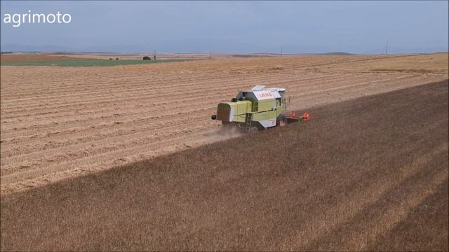 The 2018 CLAAS DOMINATOR 96 combine (in action) смотреть онлайн