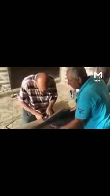 🤯 Акулу, которая убила российского туриста в Египте, мумифицируют #beautiful #beauty #2023 #boy смотреть онлайн