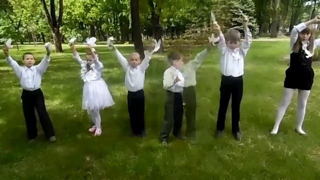 Птицы мои птицы. КЗШІ №1