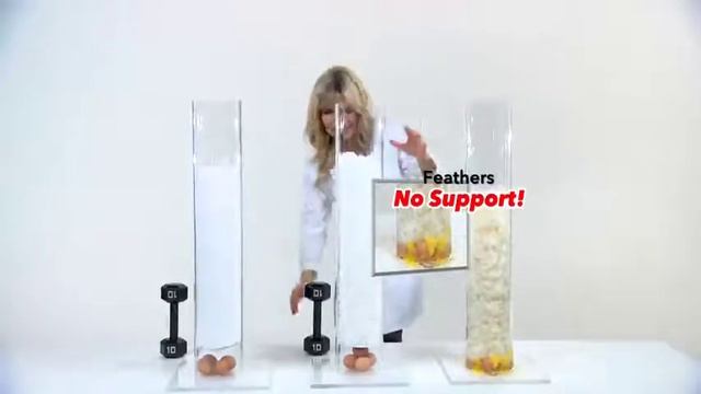 Sobakawa Sapoto V Pillow смотреть онлайн