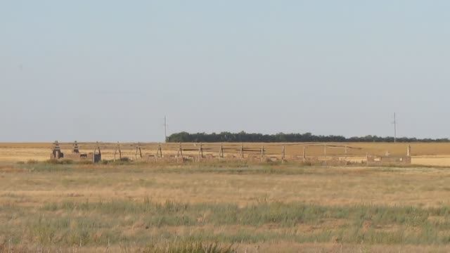 Исчезнувший посёлок Зерновой, Ершовский район (панорама).
