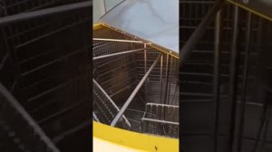 Лучшая медогонка