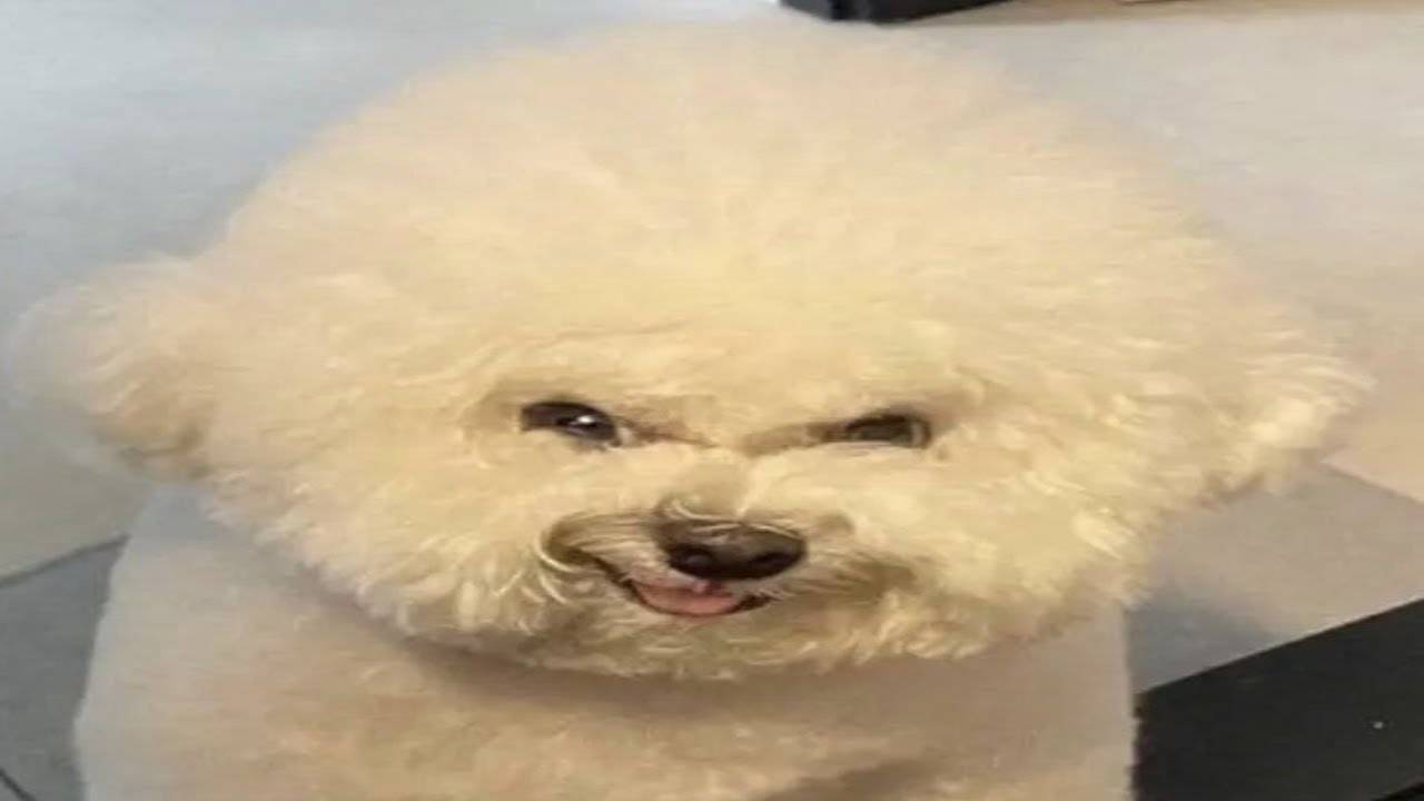 try not to laugh impossible (memes from hole) смотреть онлайн