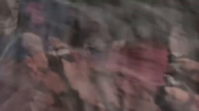 AMV - Chiyo & Sakura VS Sasori смотреть онлайн
