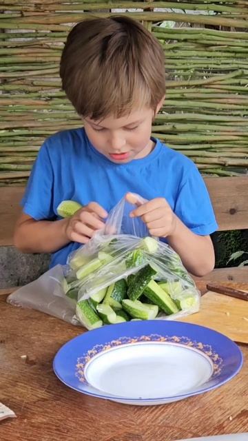 Борьба с огурцами