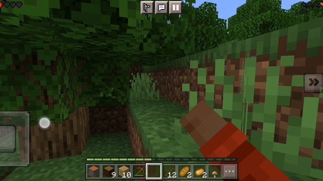 Играю в майнкрафт выживания