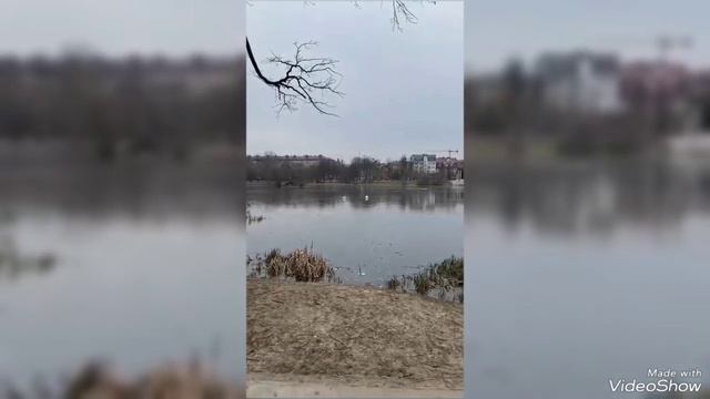 Снегопад и происшествия середины февраля 2025 в Калининграде смотреть онлайн