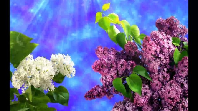 Острый смотреть онлайн