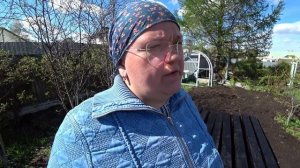 Как правильно выбрать место под новую теплицу