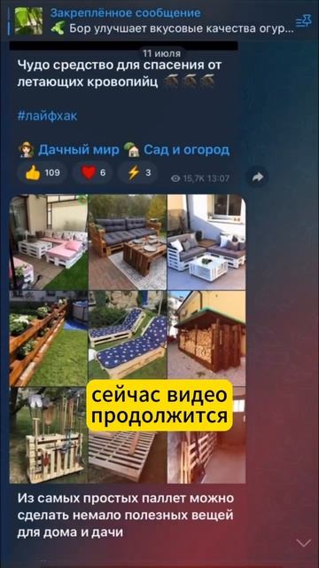 Собираю по ведру томатов с куста! Любимая подкормка моих помидоров! #shorts #дача #сад #огород смотреть онлайн