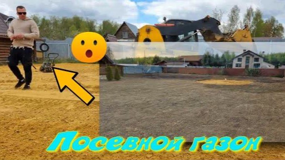 Посевной газон смотреть онлайн