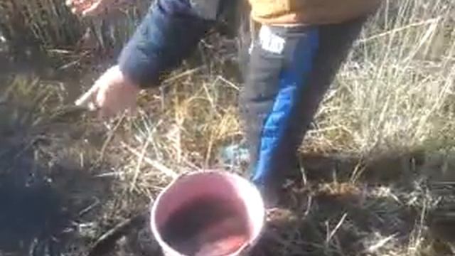 Запуск карася смотреть онлайн