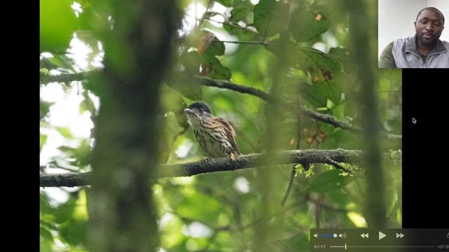 A Virtual Tour of Uganda смотреть онлайн