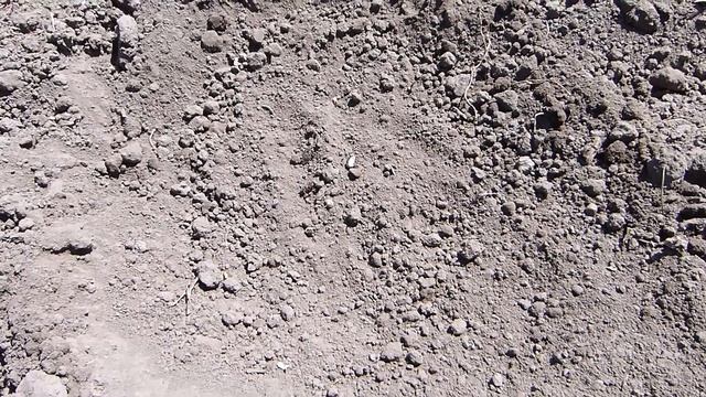 Посадка кавунів смотреть онлайн