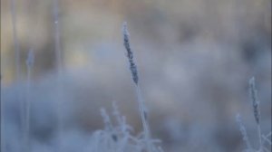 Иеромонах Роман. «Придет зима, она всегда приходит...»
