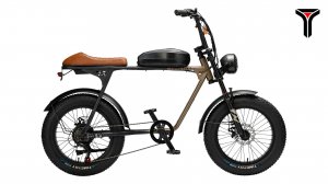 Электровелосипед Timetry D901