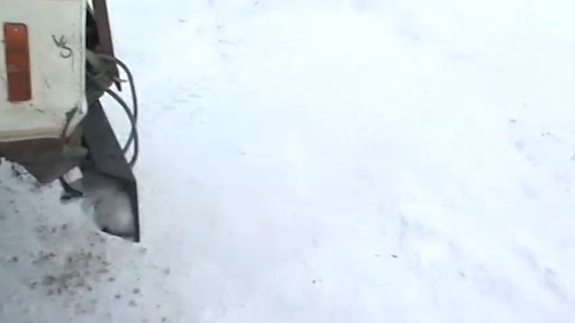 1 Завязка смотреть онлайн