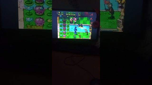 второй чм по пвз!! команда арбузной зернапульты против команды морозного мракогриба смотреть онлайн