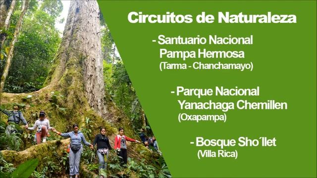 Tropic Expeditions - Chanchamayo - Selva Central смотреть онлайн