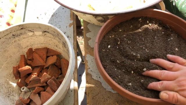 Ep. 33.: Kristályvirágok ültetése смотреть онлайн