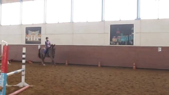 Рыжик одиночный 2 смотреть онлайн