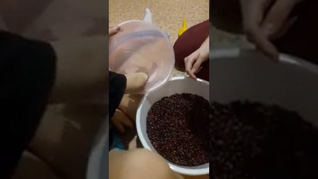 Фасоль 1 смотреть онлайн