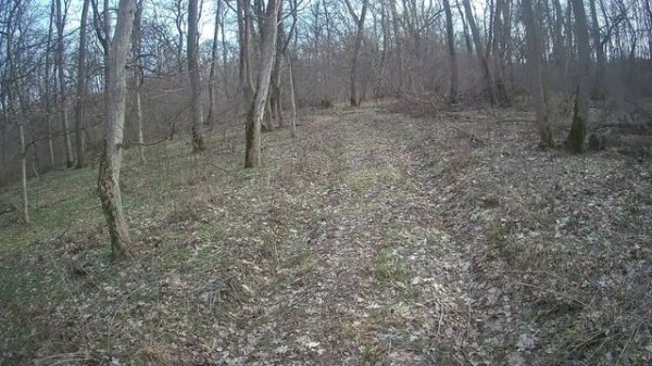 Первая покатуха