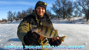 РАБОЧАЯ зимняя блесна на ОКУНЯ!!! Рыбалка зимой со льда!