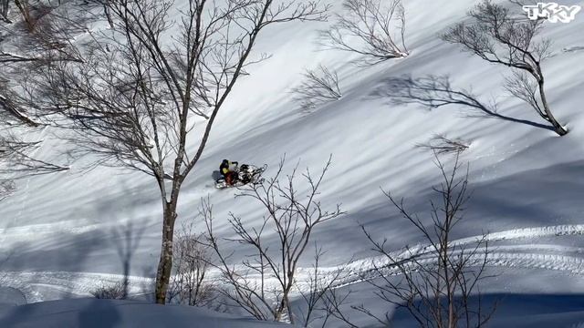 2024 ski-doo SUMMIT EXPERT 154 850E-TEC смотреть онлайн