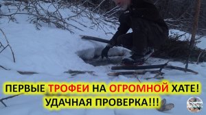 Удачная охота. Зимняя охота на бобра с капканами. Проверка капканов на бобра.