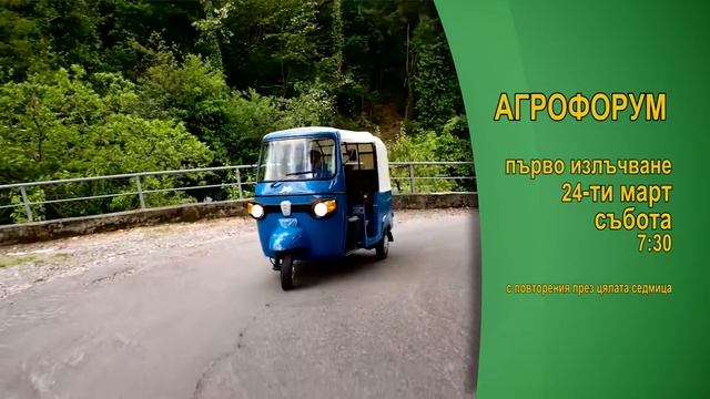 Тази седмица в Агрофорум: Как да преодолеем дефицита на мед при пшеница смотреть онлайн