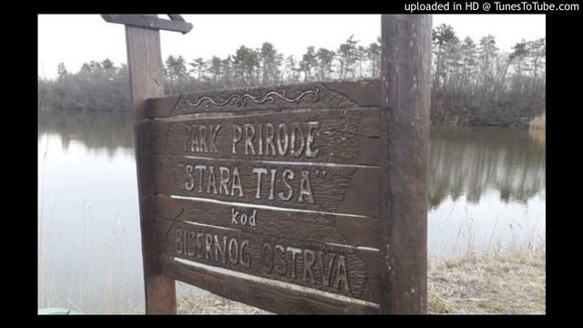 Park prirode Stara Tisa kod Bisernog ostrva - mrtvaja koja živi смотреть онлайн