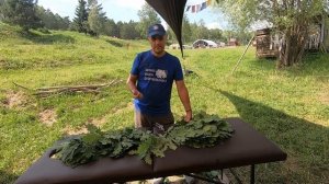Как вязать веники для бани? Заготовка банного веника своими руками.