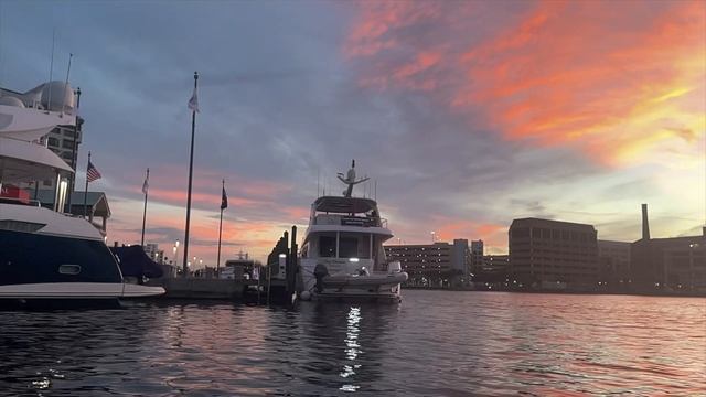 Sup Life, Paddle Boarding In Downton Tampa смотреть онлайн
