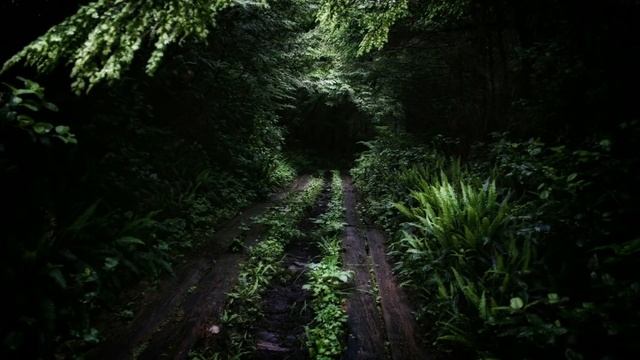 Berghain Techno Set December 2018 - C. Dottori