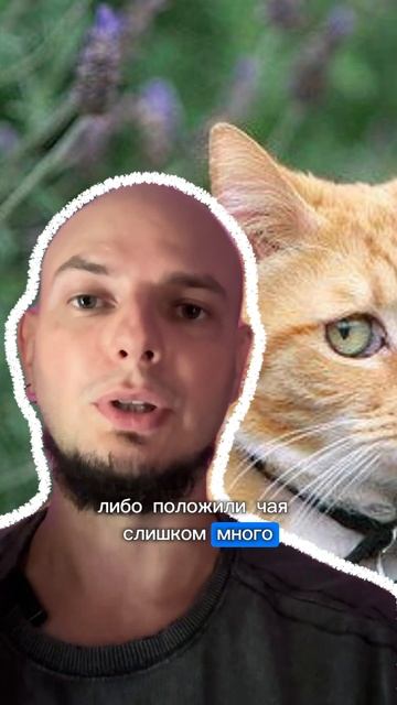 Подпишитесь на @process_tea , тут много полезного о чае #зеленыйчай #лайфхак смотреть онлайн