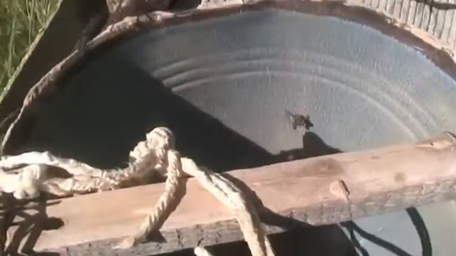 Осиная упёртость смотреть онлайн