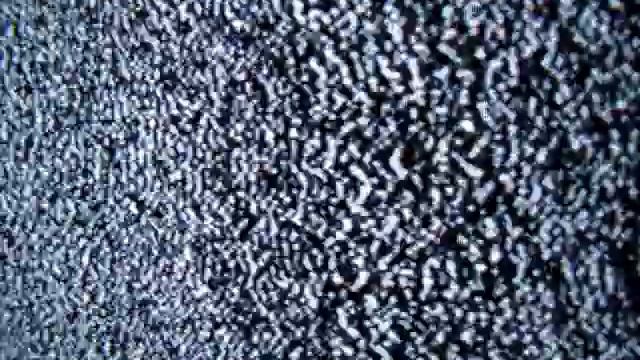 Выпускной.9Б.wmv смотреть онлайн