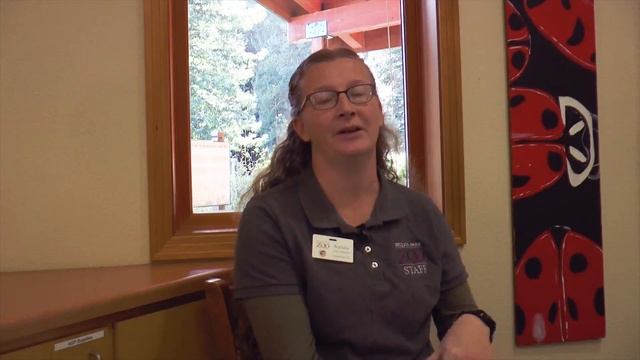 The Sequoia Park Zoo: When Conservation Meets Innovation смотреть онлайн