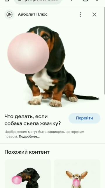 Мышка сосиска смотреть онлайн
