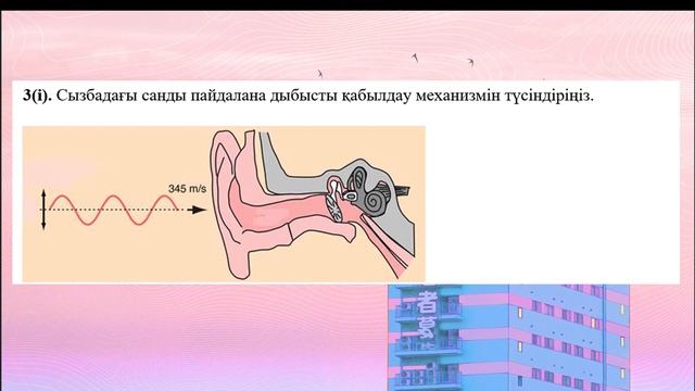 БИОЛОГИЯ 8-СЫНЫП БЖБ-3 3-ТОҚСАН смотреть онлайн