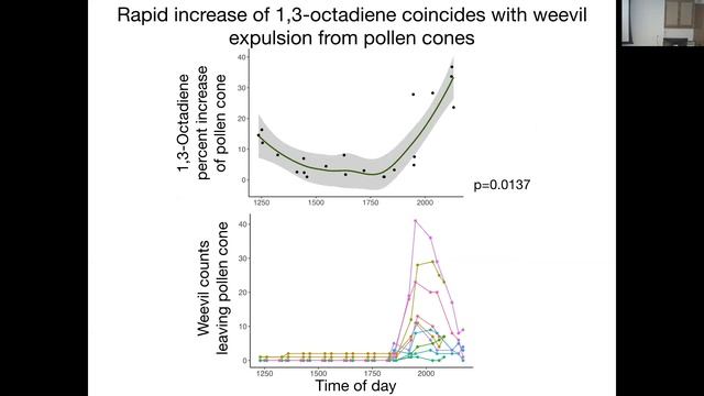 Shayla Salzman: Ecology and Evolution of a Cycad-Weevil Pollination Mutualism смотреть онлайн