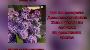 Bakr - Апрельская сирень | Текст песни | 𝙽𝚞𝚔𝚎  𝚖𝚞𝚣
