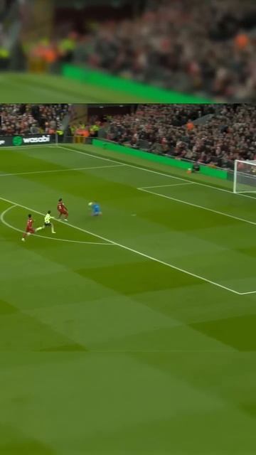 Alison and Salah are returning смотреть онлайн