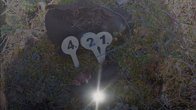 Чистогорская СОШ смотреть онлайн