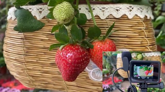 5K WIFI Anti Shake Action Camera 4K 60FPS Dual Screen 170° Wide Angle 30m Waterproof Sport Camera смотреть онлайн