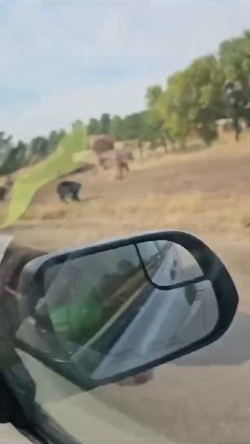 — Что там происходит?
— Русские идут! 👍🏻 🤣 смотреть онлайн