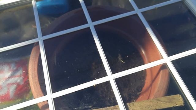 Garden Update/Talk About Our Compost Tea (Ontario Spring Struggles 2017) смотреть онлайн